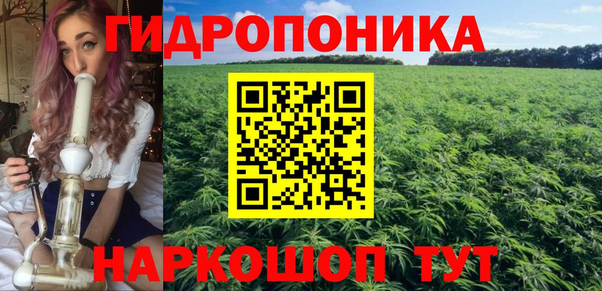 Марихуана планчик  Бошки марихуана планчик  Канабис марихуана  Конопля план  Рыбинск  Вход с VPN 